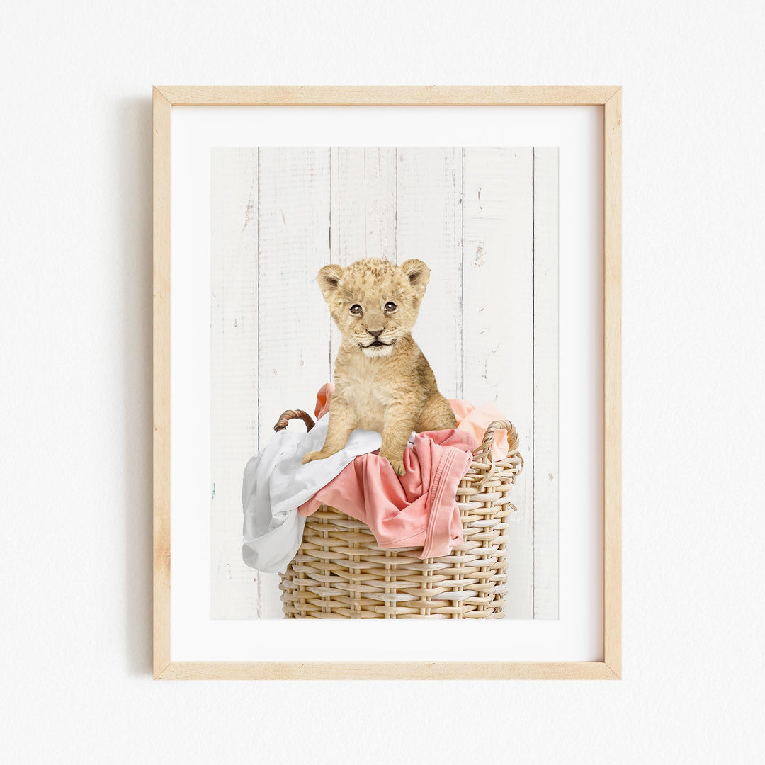 A young lion cub sitting in a wicker basket filled with pink and white clothing.