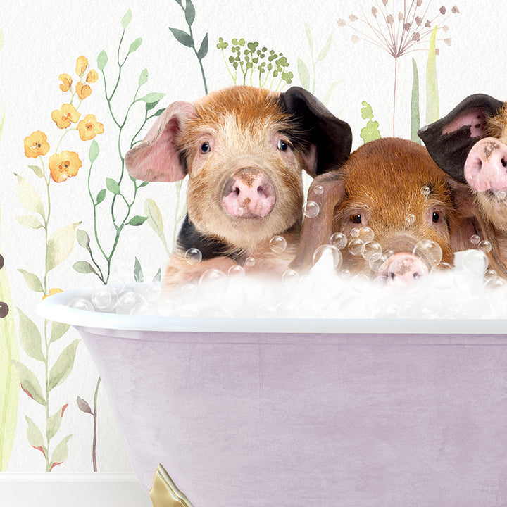 three pigs in a bathtub with bubbles of water