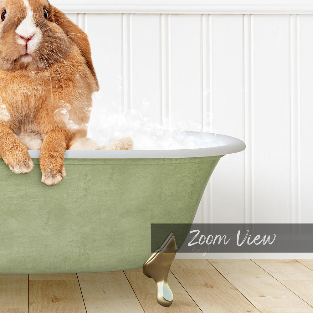 A cute orange rabbit sitting in a green bathtub filled with bubbles, with a "Zoom View" label below the image.