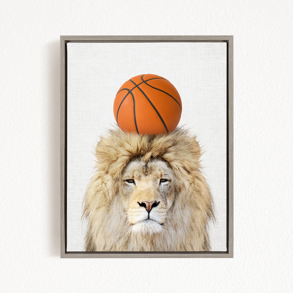 A framed image of a lion with a basketball on its head.
