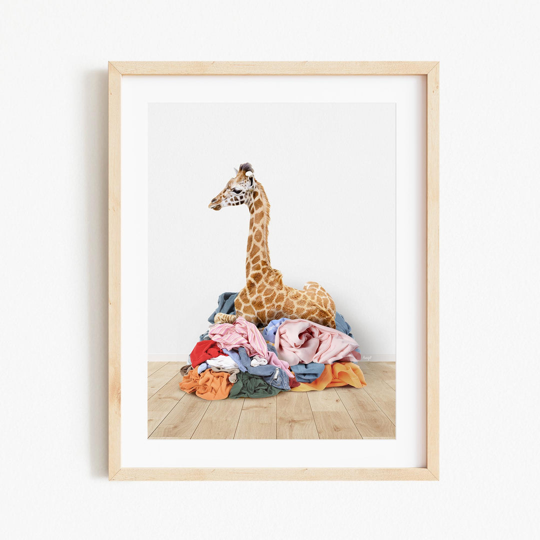 A giraffe is sitting on a pile of clothes in a room.