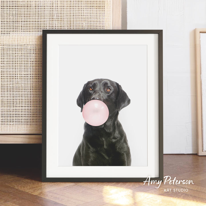 A black dog is sitting on a wooden floor, blowing a bubble with a pink bubble gum bubble.