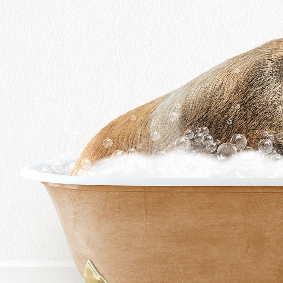 a dog is taking a bath in a bathtub