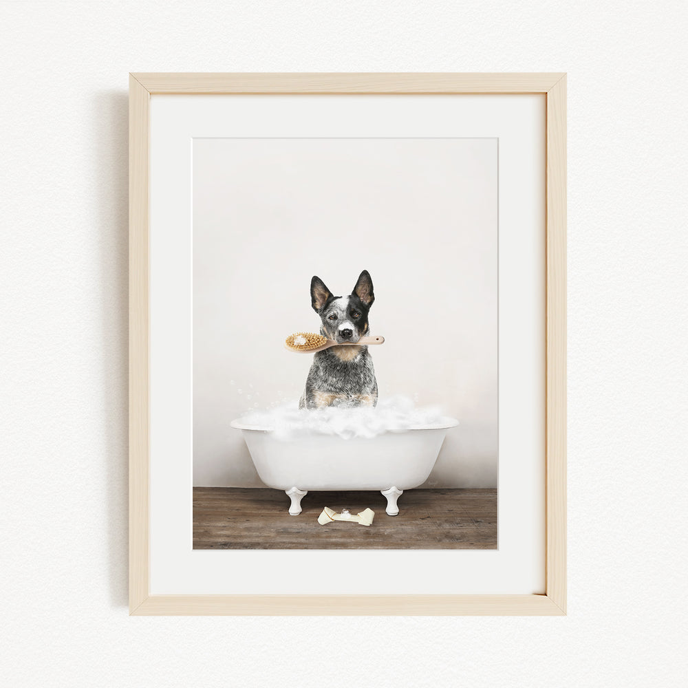 A black and white dog sitting in a white bathtub, holding a toy in its mouth, with a wooden floor and a white wall in the background.