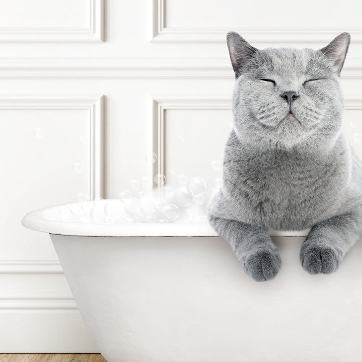 a gray cat laying in a bathtub with its eyes closed