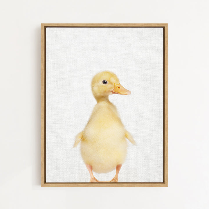 A cute yellow duck standing upright in a white background.