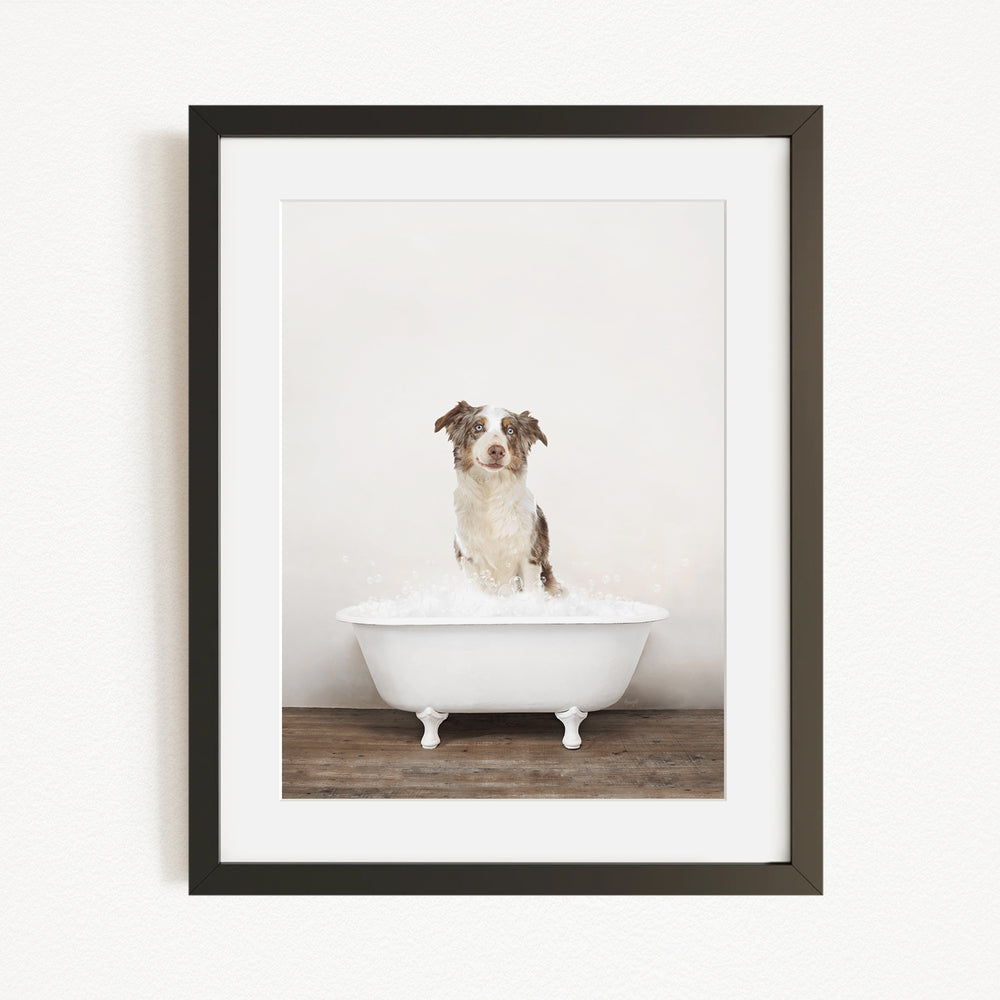 A dog sitting in a white bathtub filled with water, looking directly at the camera.