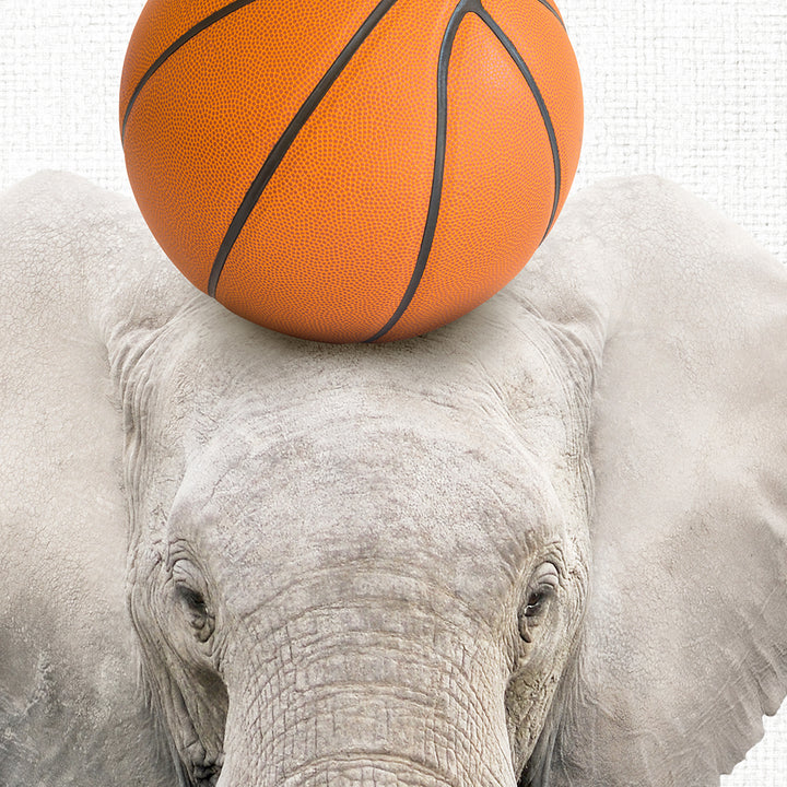 an elephant with a basketball on its head