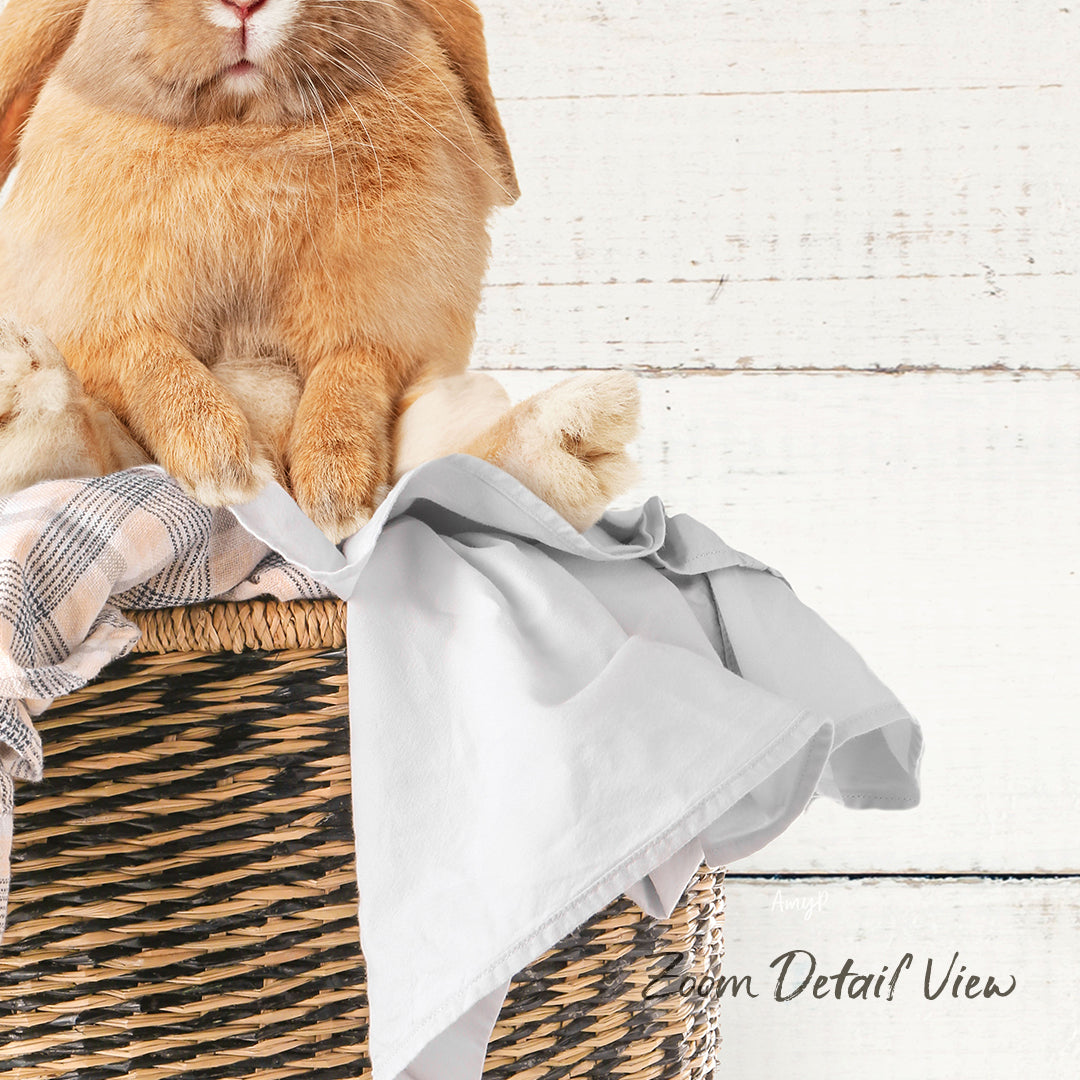 A fluffy orange rabbit sits in a woven basket, surrounded by a gray blanket and a white wooden wall.