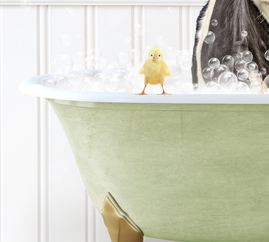 a cat in a bathtub with bubbles and a rubber duck