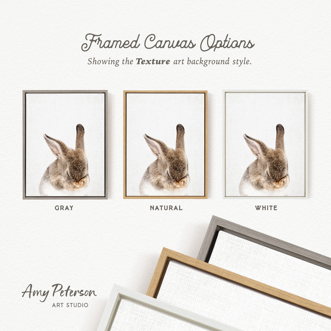 three framed canvas options, each with a different background color: gray, natural, and white. The text above the options reads " Framed Canvas Options" and "Showing the Texture art background style." The text below the options reads "Grays," "NATURAL," and "WHITE." The artist's name, Amy Peterson, is also mentioned at the bottom of the image.