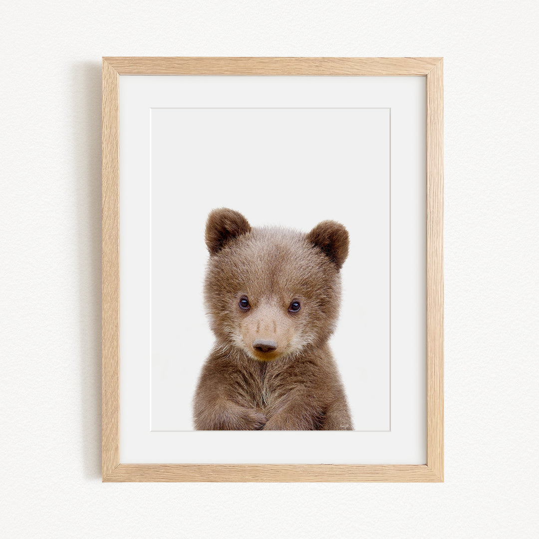 A cute baby bear with large eyes and a small nose is the focus of the framed picture.