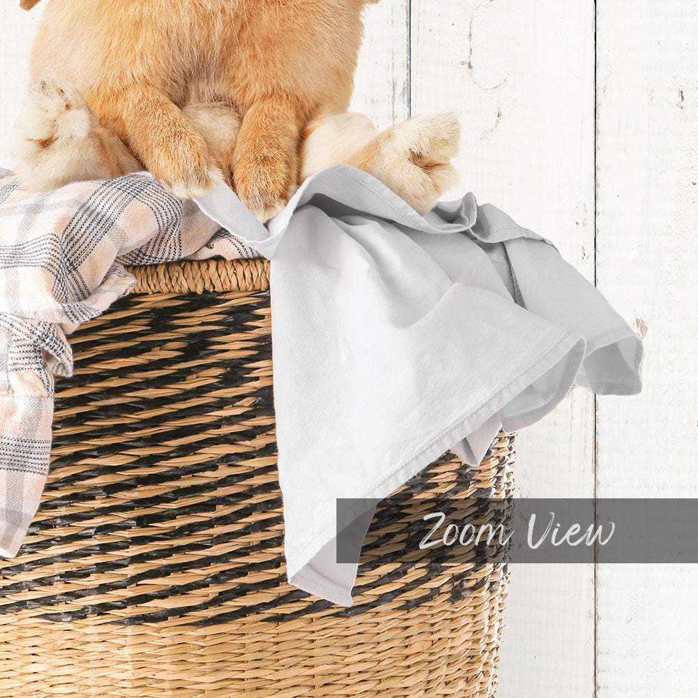 A small brown dog is sitting on top of a woven basket, which is placed on a white wooden surface.