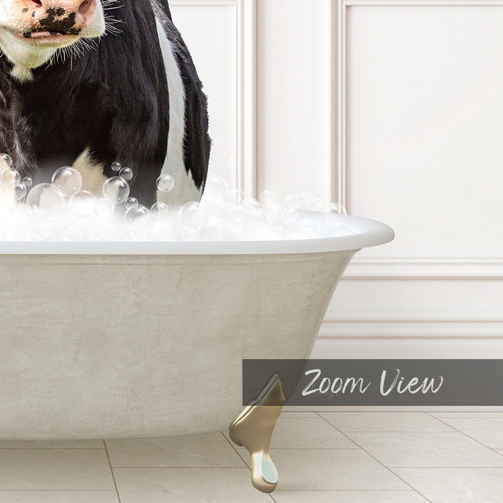 A black and white cow standing in a bathtub filled with bubbles, with the text "Zoom View" displayed below the image.