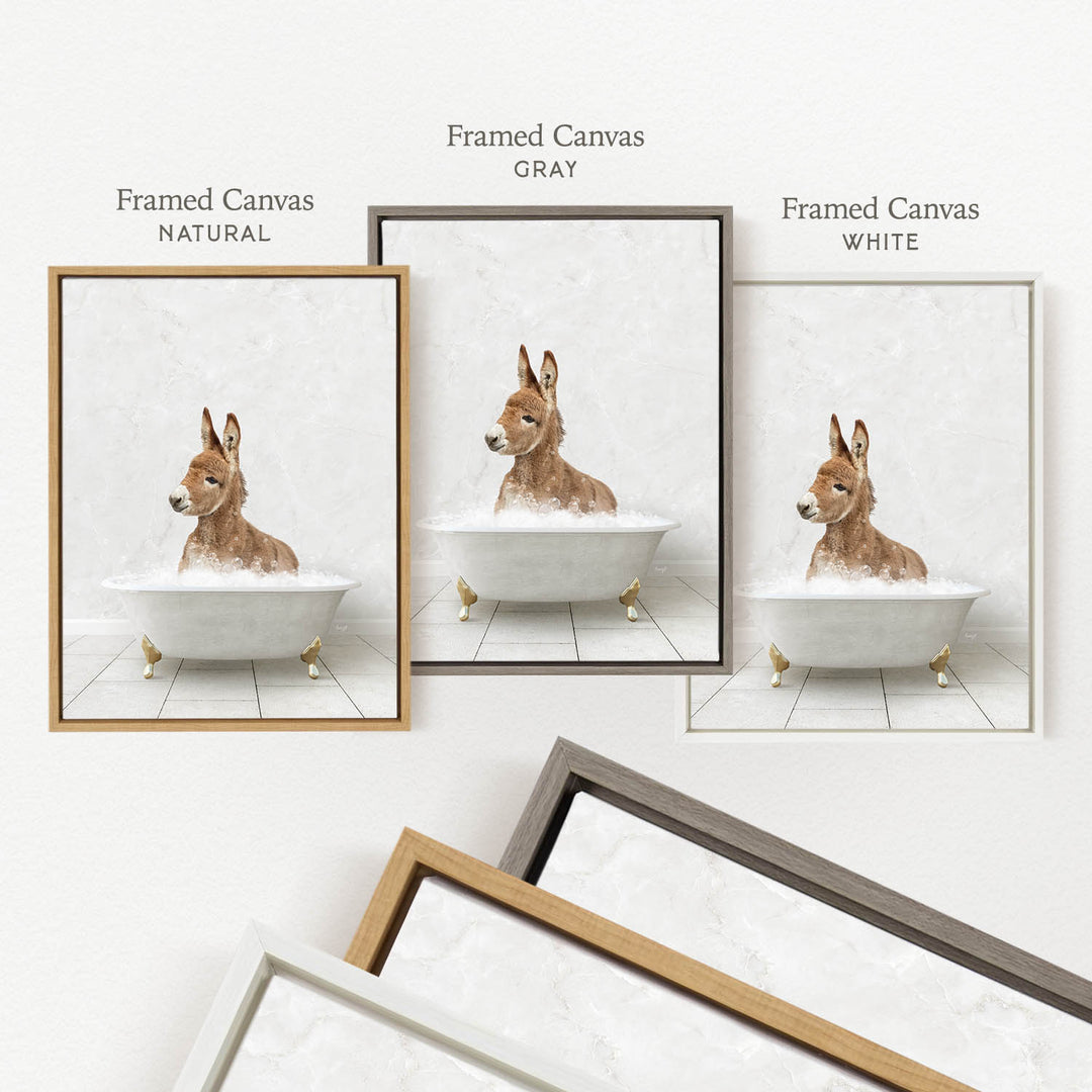 three framed pictures of a donkey sitting in a bathtub, each with a different colored frame.