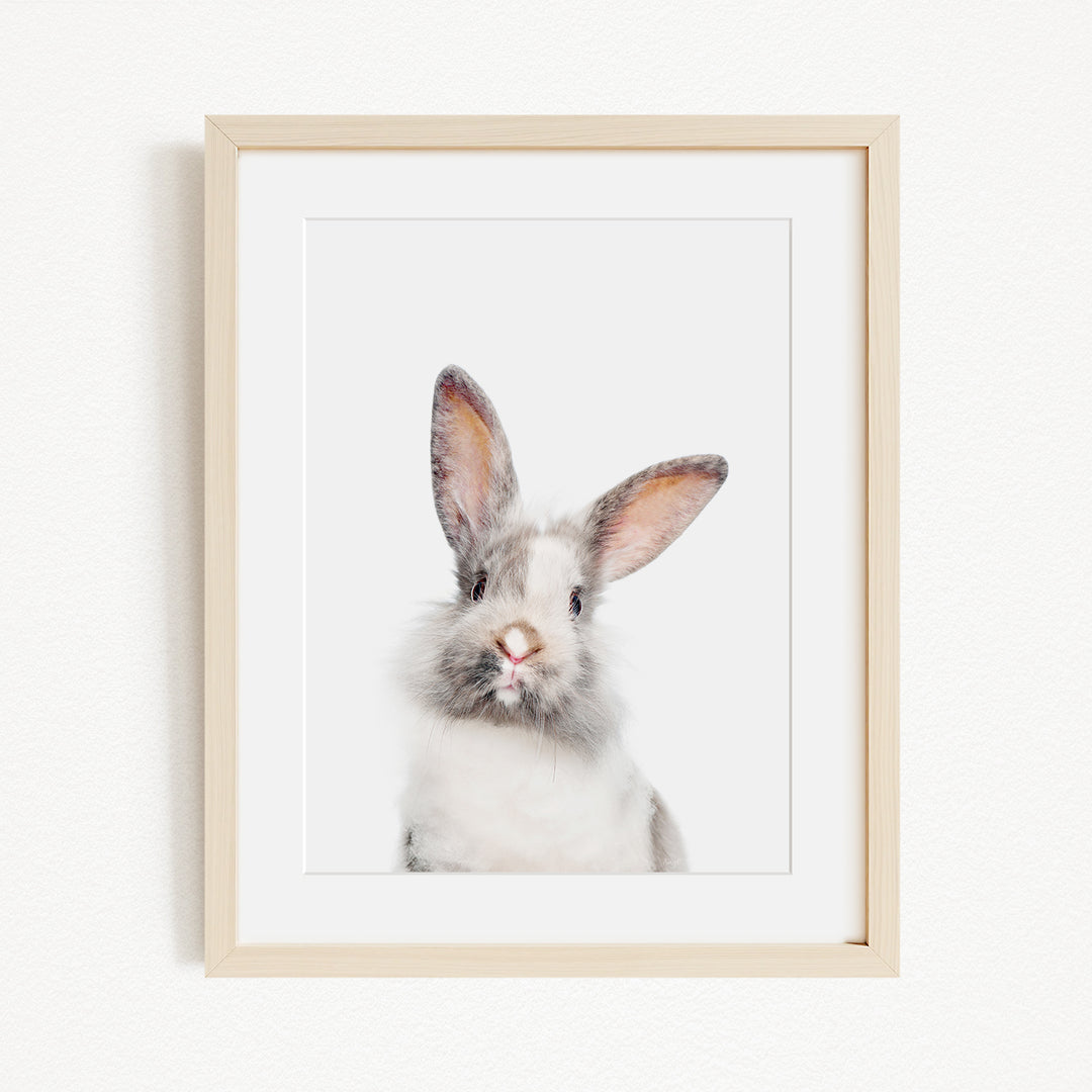 A white rabbit with large ears is the focus of the image, which is a framed picture.