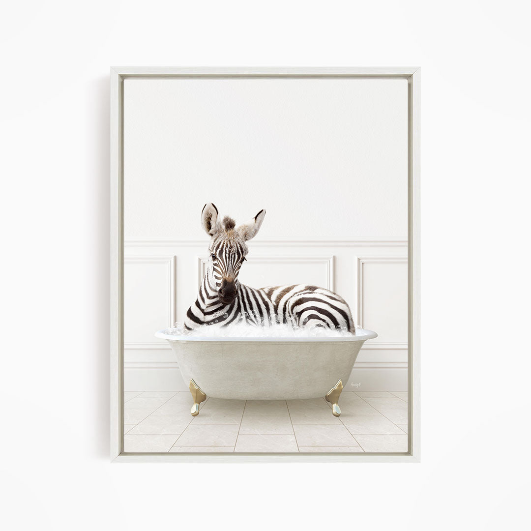 A zebra is sitting in a white bathtub, appearing relaxed and content.