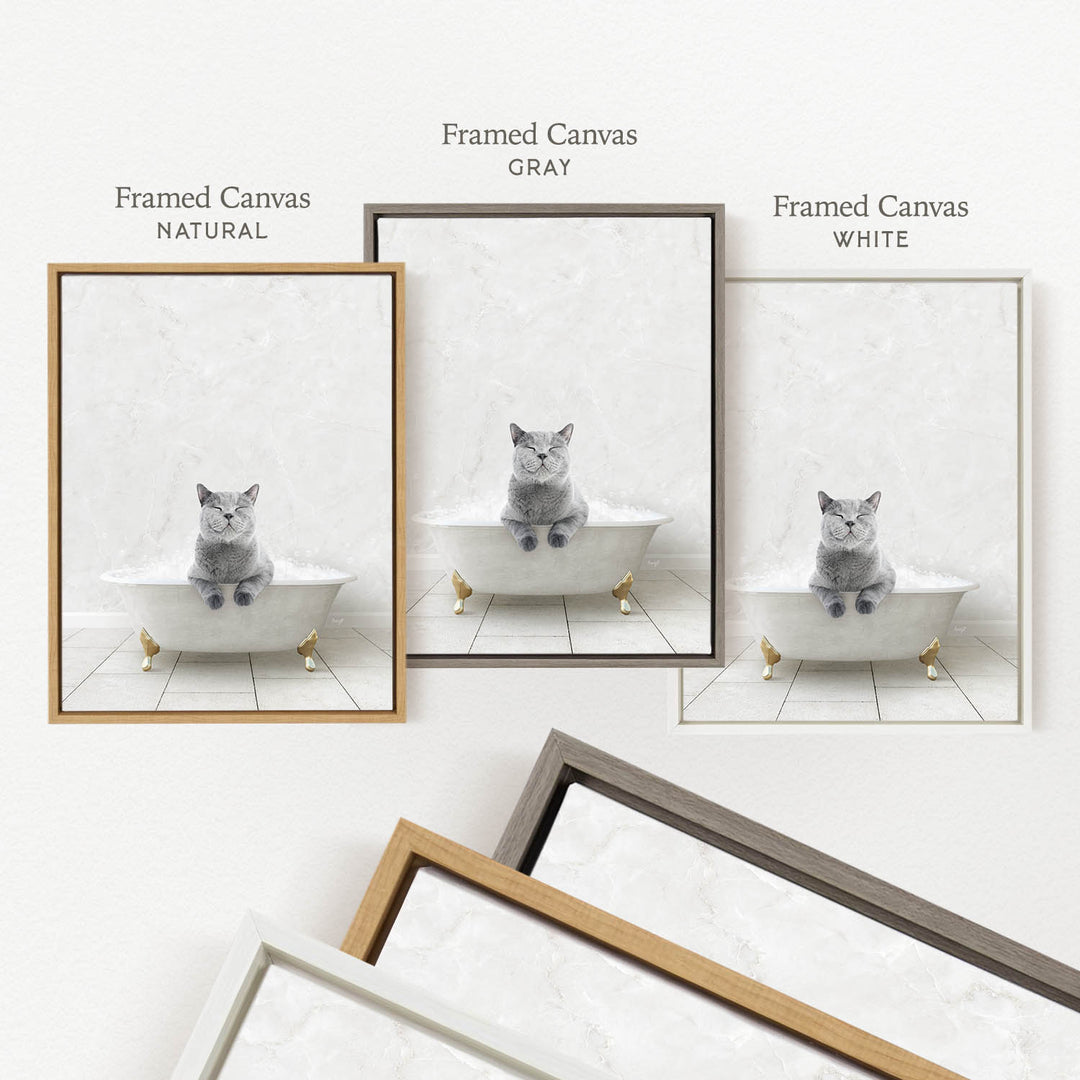 three framed pictures of a cat sitting in a bathtub, each with a different color frame.