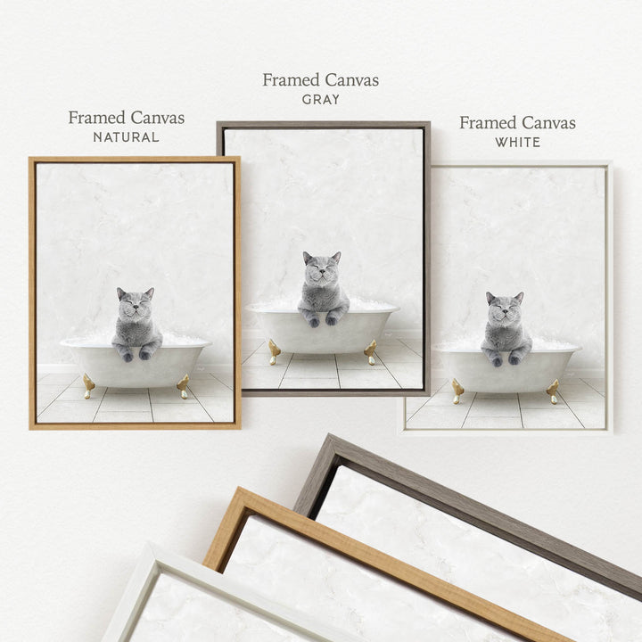 three framed pictures of a cat sitting in a bathtub, each with a different color frame.
