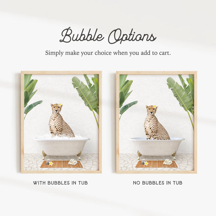 two pictures of a cheetah sitting in a bathtub