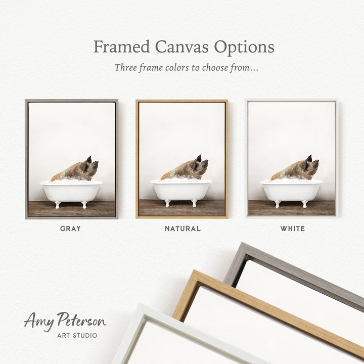 three framed canvas options, each featuring a photograph of a cat sitting in a bathtub. The options include a gray frame, a natural frame, and a white frame.