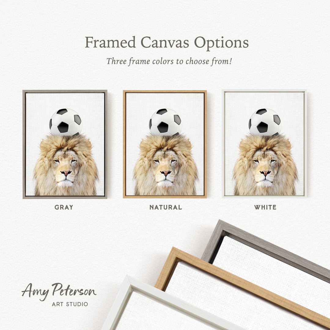three framed canvas options featuring a lion with a soccer ball on its head, each in a different frame color: gray, natural, and white.