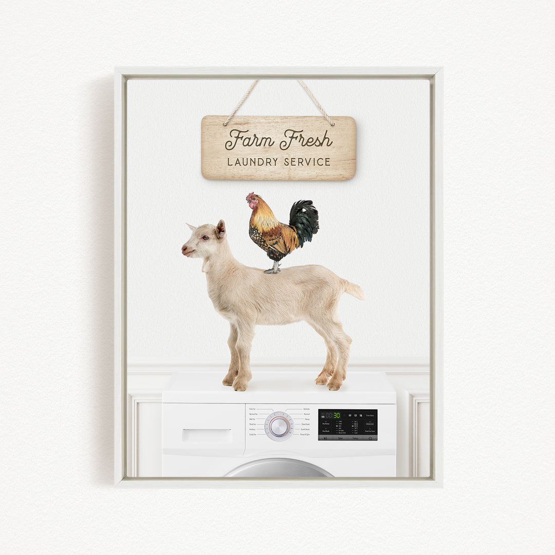 A white washing machine with a sign above it that says "Farm Fresh Laundry Service" and a rooster standing on top of the machine.