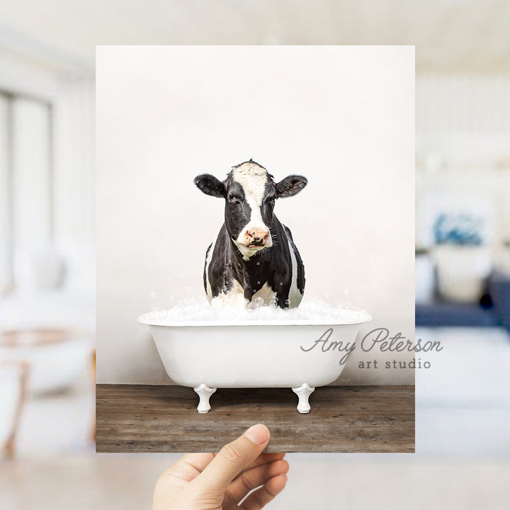 a black and white cow sitting in a bath tub