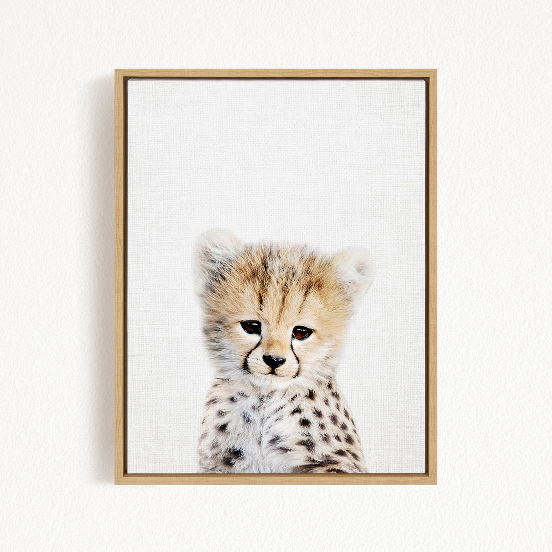 A young cheetah with a spotted coat gazes directly at the camera, its eyes full of curiosity and alertness.