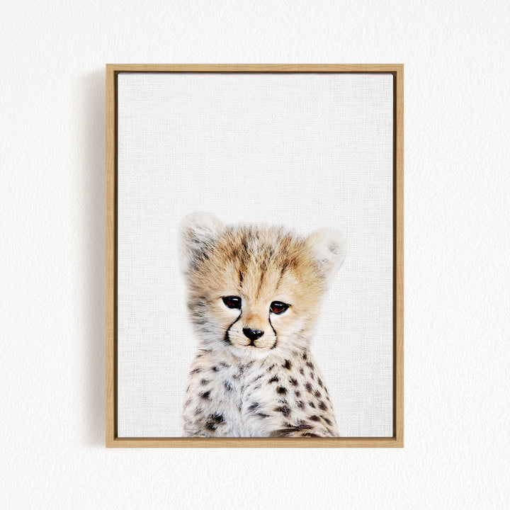 A young cheetah with a spotted coat gazes directly at the camera, its eyes full of curiosity and alertness.
