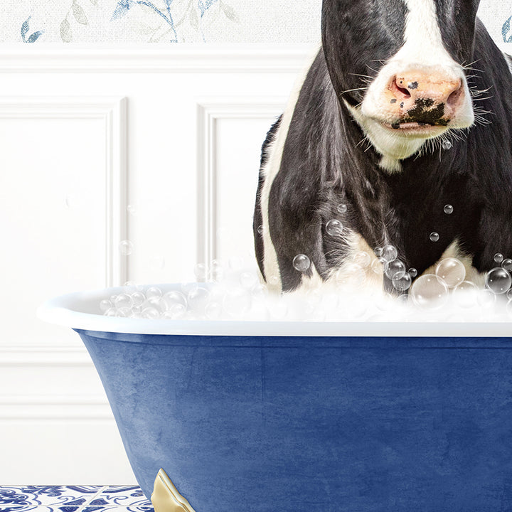 a black and white cow in a blue bath tub