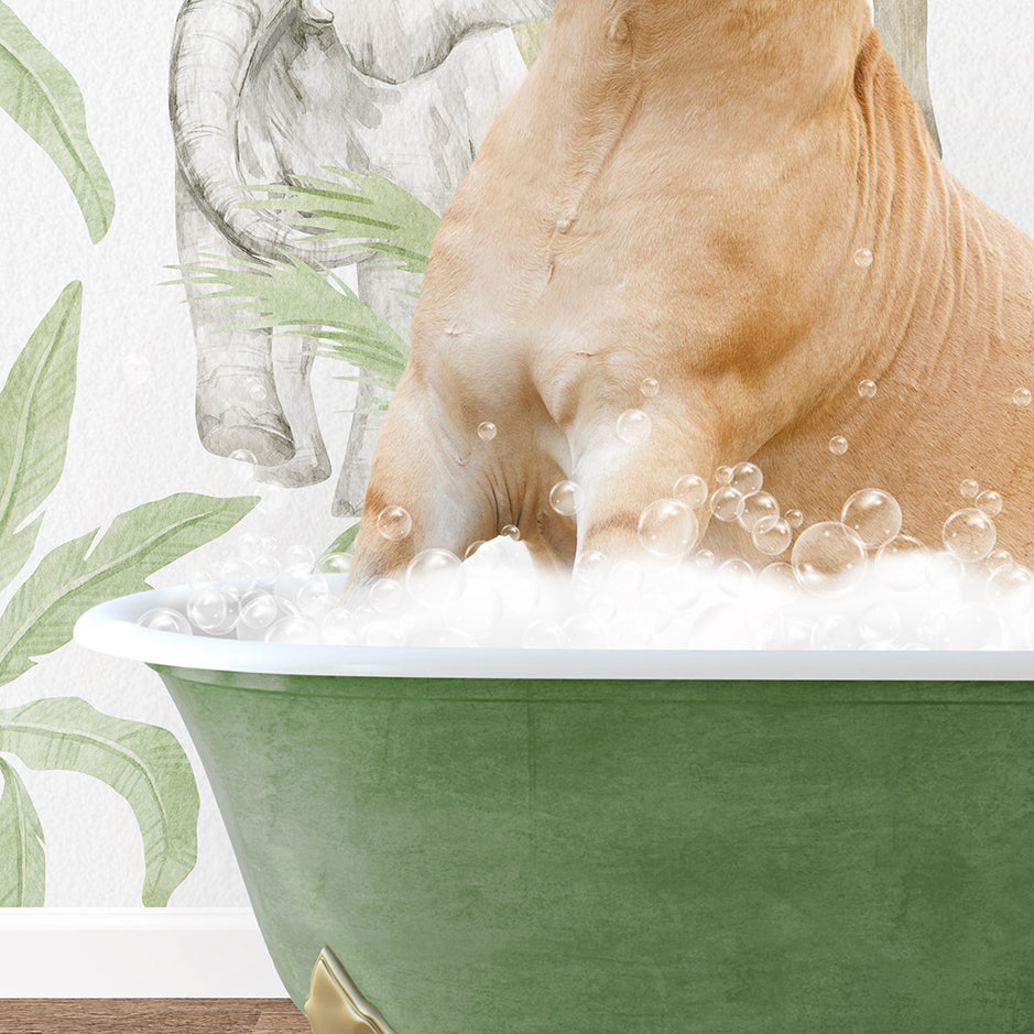 a dog sitting in a bathtub filled with bubbles