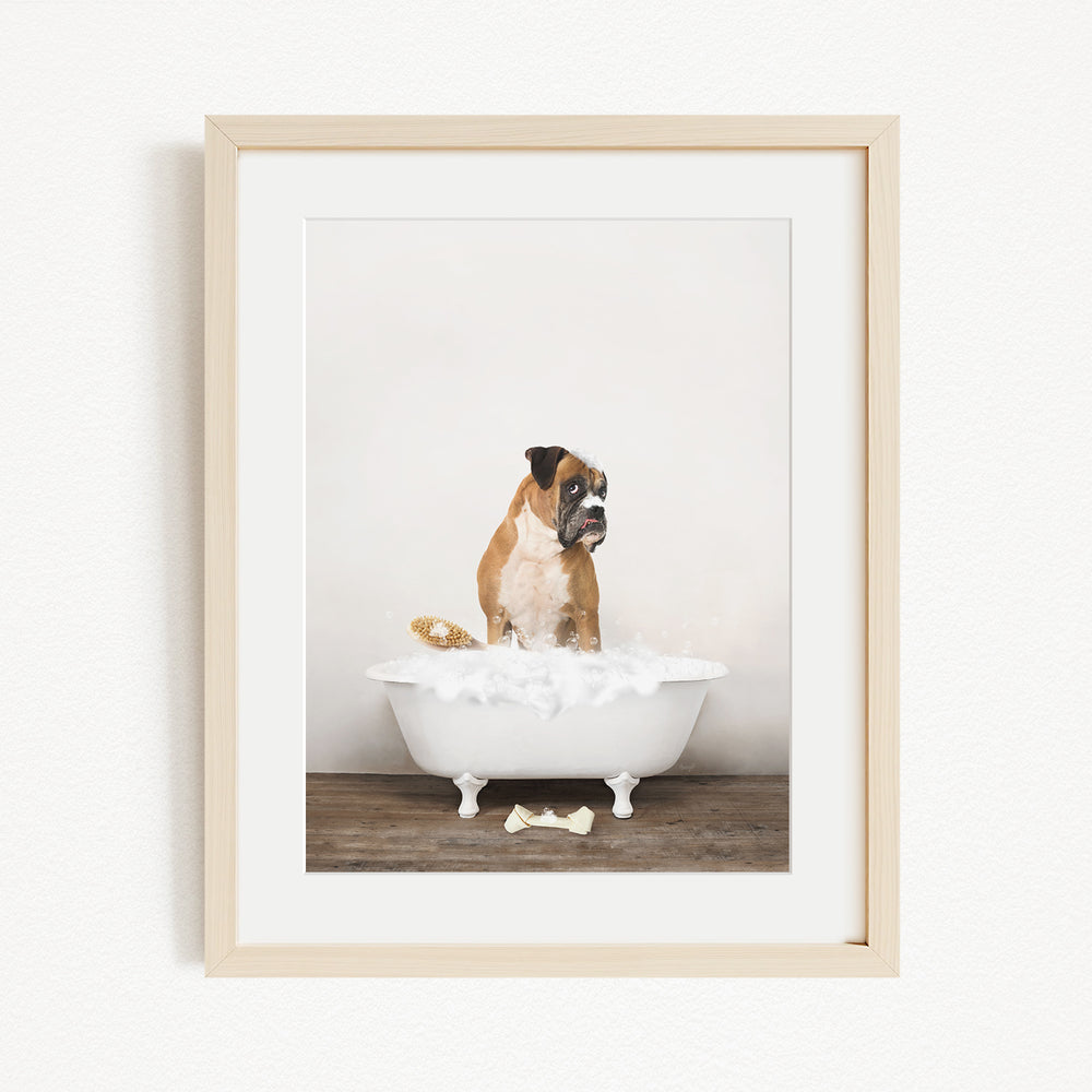 A brown and white dog sitting in a white bathtub filled with bubbles, with a bone on the floor.