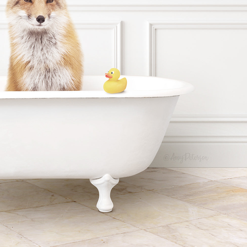 A fox is sitting in a white bathtub, with a yellow rubber duck on the edge of the tub.