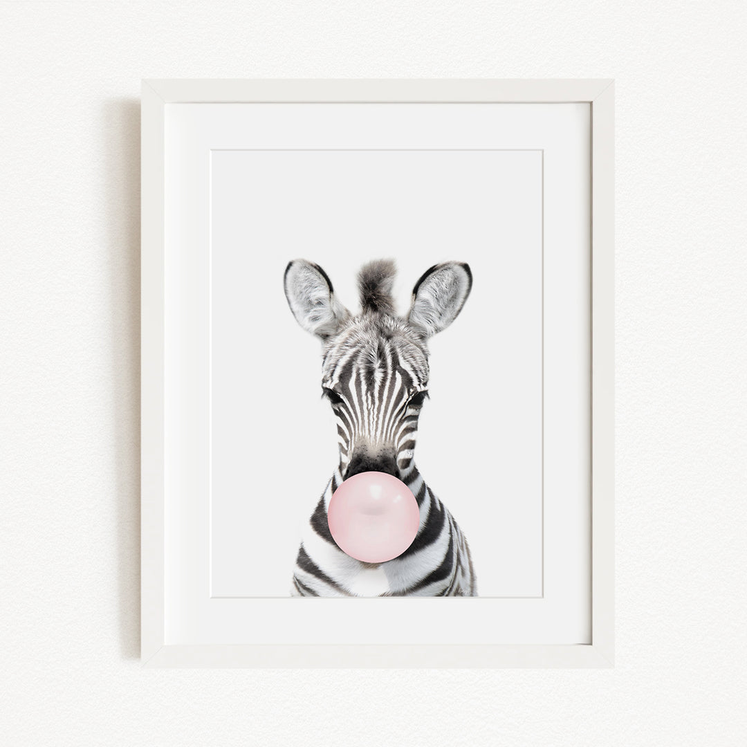 A zebra blowing a bubble with a pink bubble gum bubble.