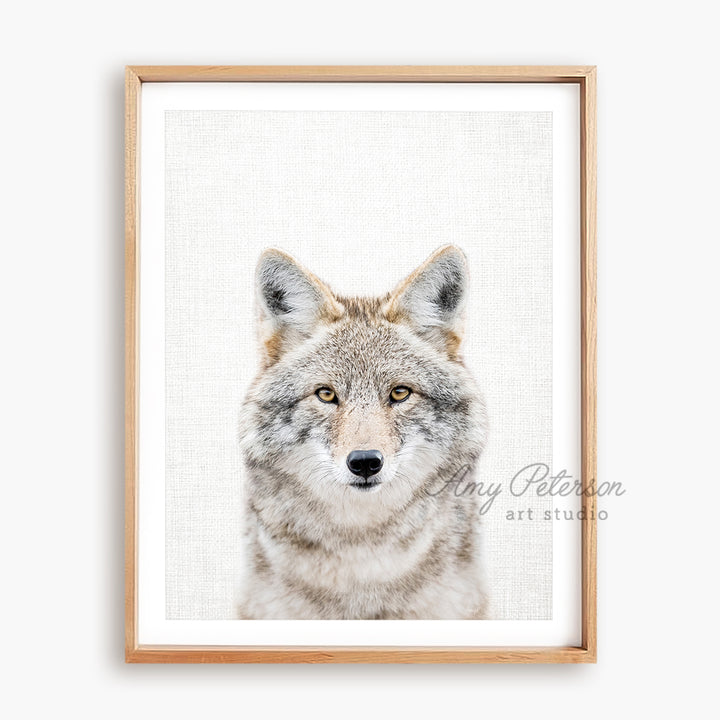 a grey and white wolf is shown in a wooden frame