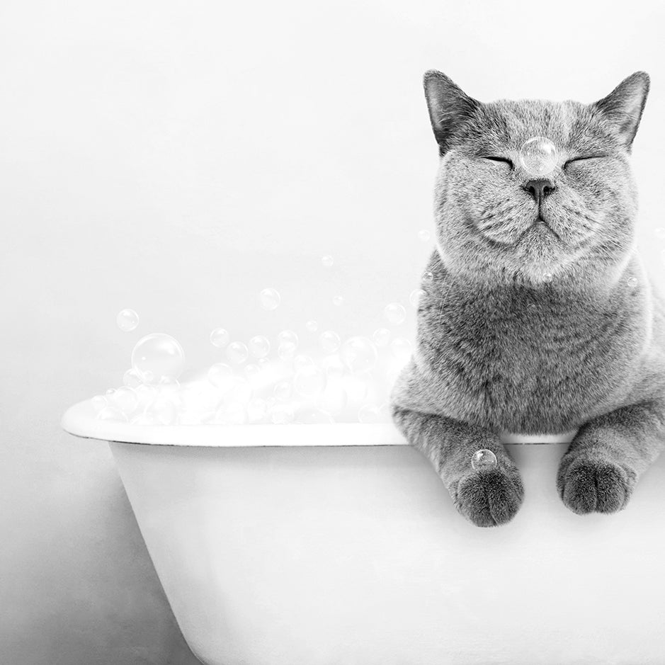 a cat sitting in a bathtub with bubbles coming out of it