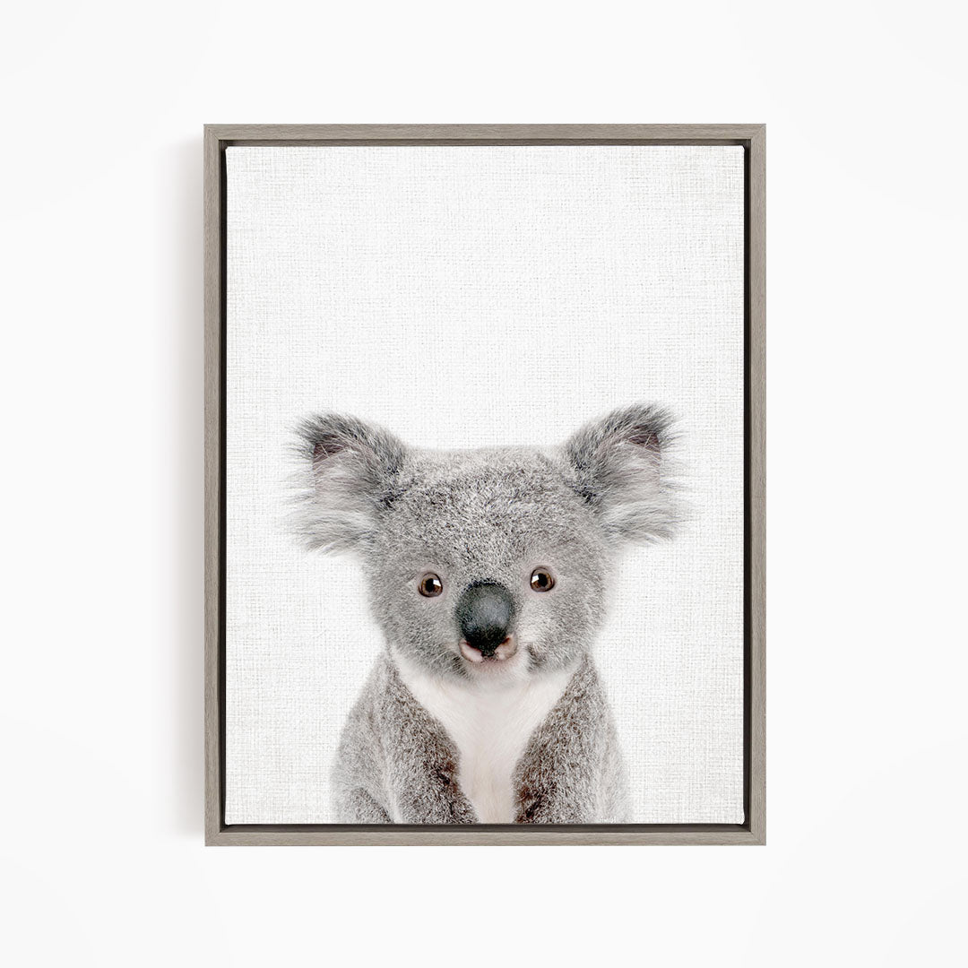 A framed photograph of a koala bear with a neutral expression, looking directly at the camera.