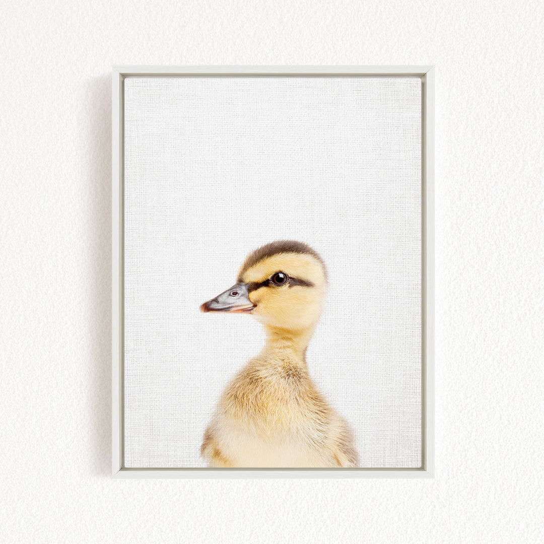 A young duckling with a yellow and brown coat is the focus of the image, captured in a white frame against a plain white background.