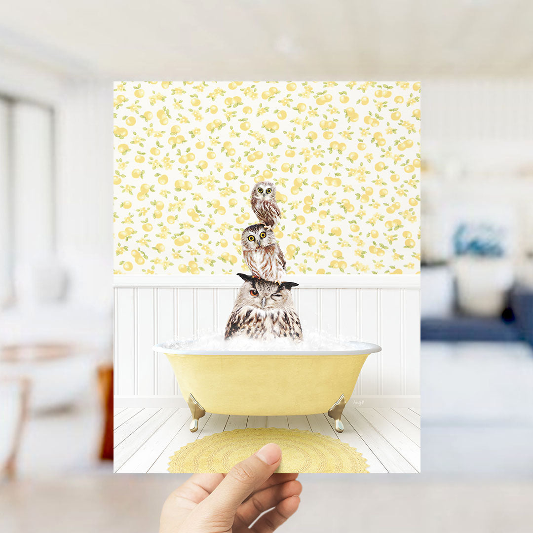 A hand holds up a framed image depicting three owls sitting in a yellow bathtub, with a yellow and white floral pattern on the wall behind them.