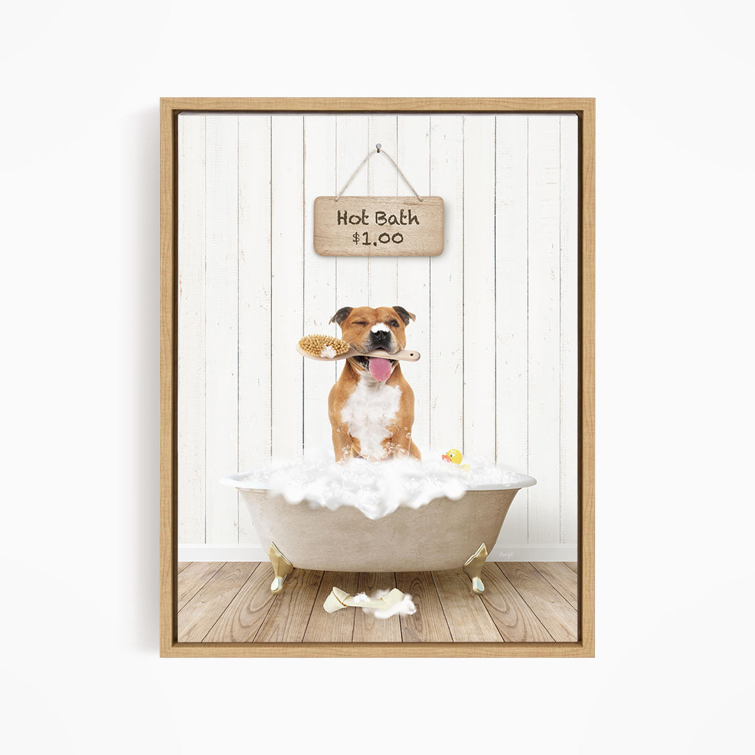 A brown and white dog sitting in a white bathtub, holding a yellow rubber duck and surrounded by bubbles, with a sign indicating a hot bath for $1.00.