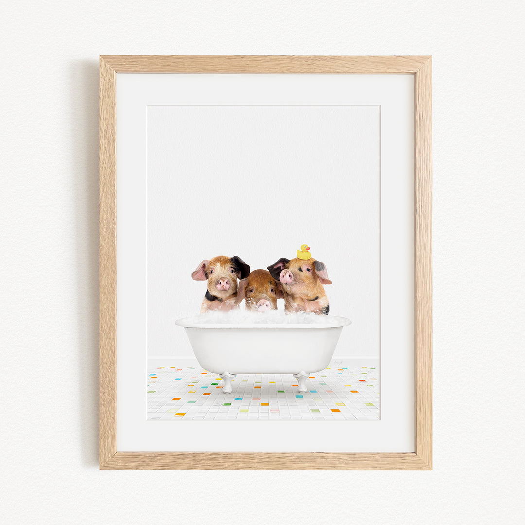 Three adorable pigs sitting in a white bathtub filled with bubbles, each wearing a yellow rubber duck hat.