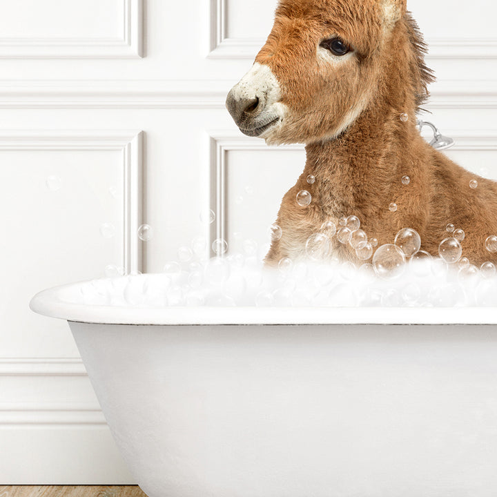 a baby donkey sitting in a bathtub full of bubbles