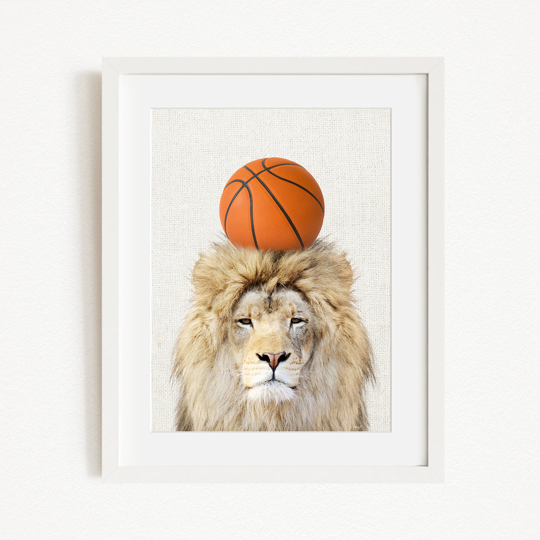 A framed image of a lion with a basketball on its head.