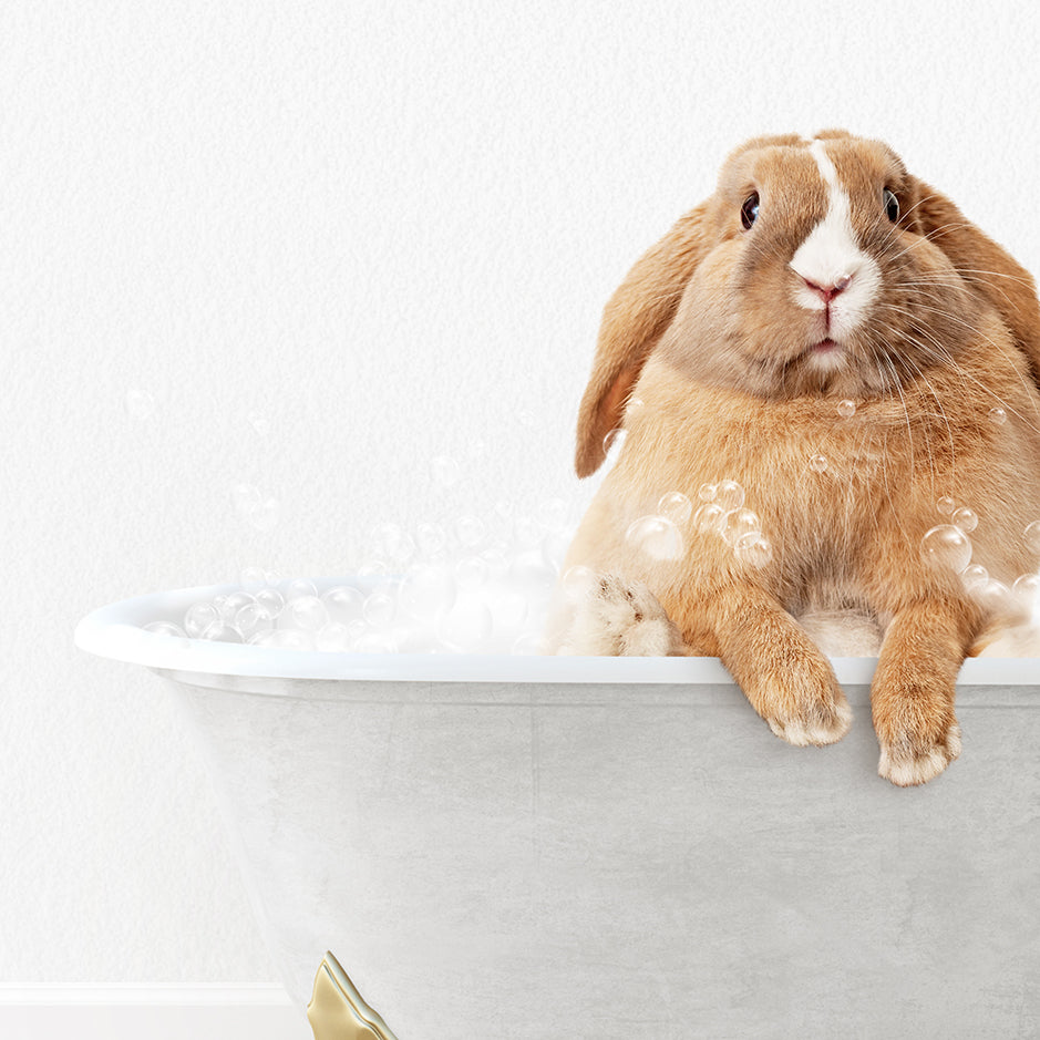 a rabbit is sitting in a bathtub full of bubbles