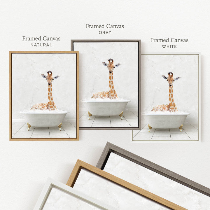 a giraffe sitting in a bathtub, with three different framed canvases displaying the same image.