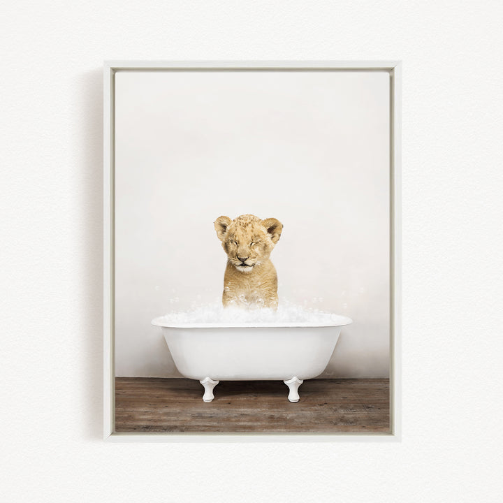 A young lion cub sitting in a white bathtub filled with water, looking up at the camera.