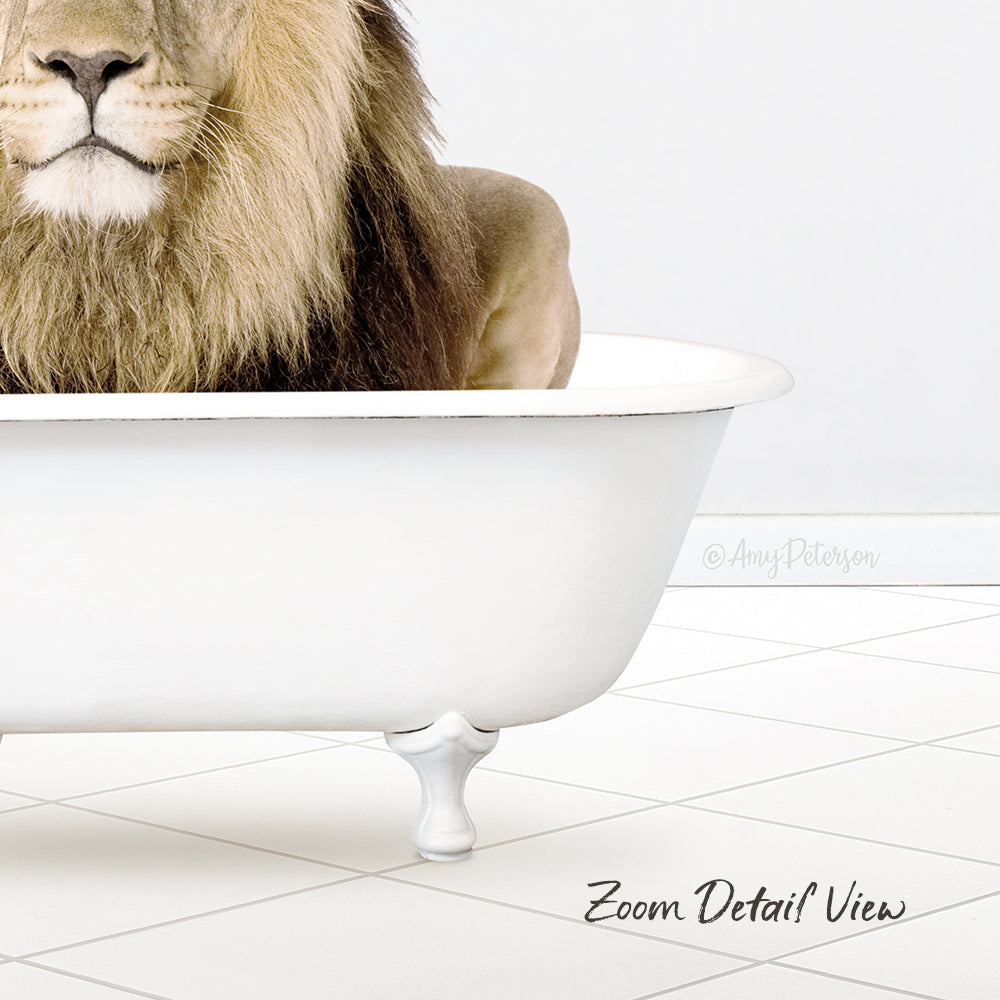 A lion is sitting in a white bathtub, with its head resting on the edge of the tub.
