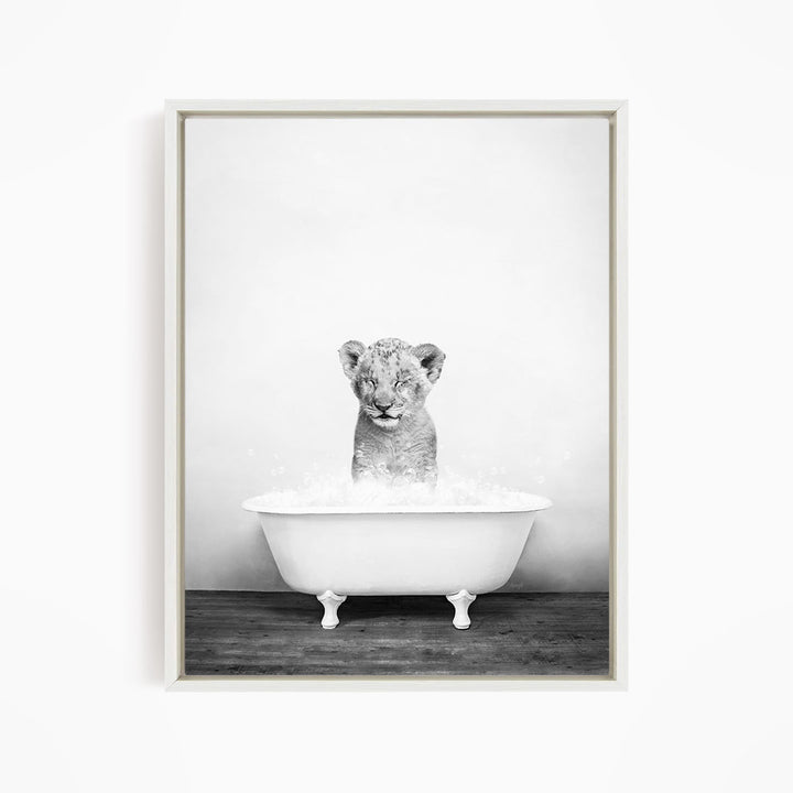 A young lion cub sitting in a white bathtub filled with water, looking directly at the camera.