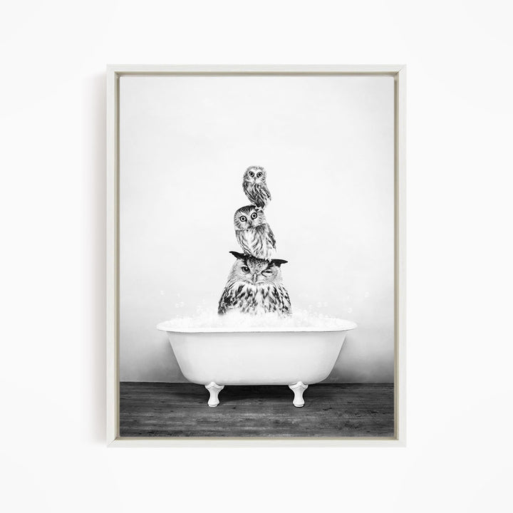 A black and white image of three owls sitting on a white bathtub, with one owl perched on top of the other two.
